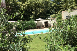 pool and olive trees bed and breakfast maison la vie est belle
