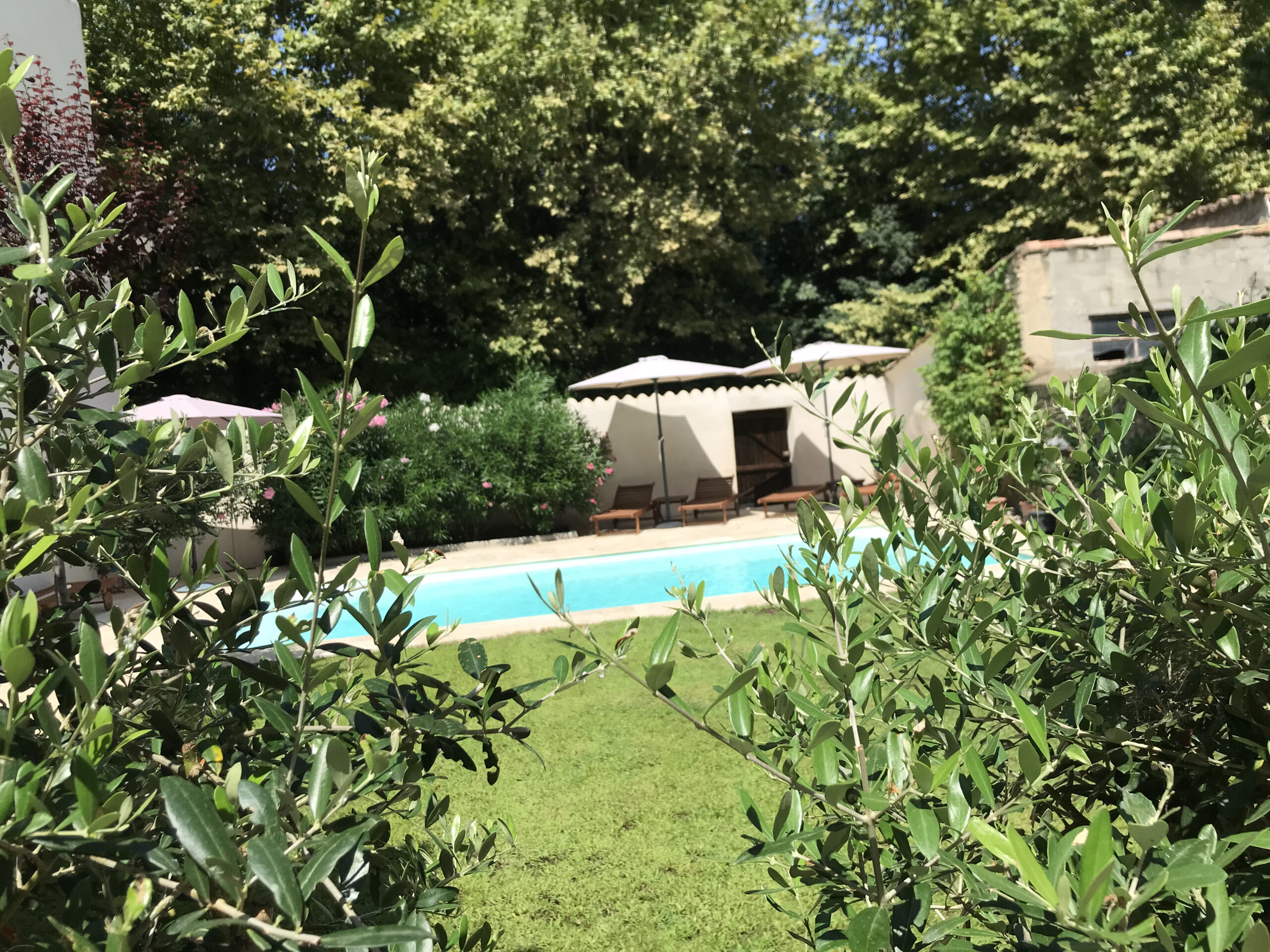 pool and olive trees bed and breakfast maison la vie est belle